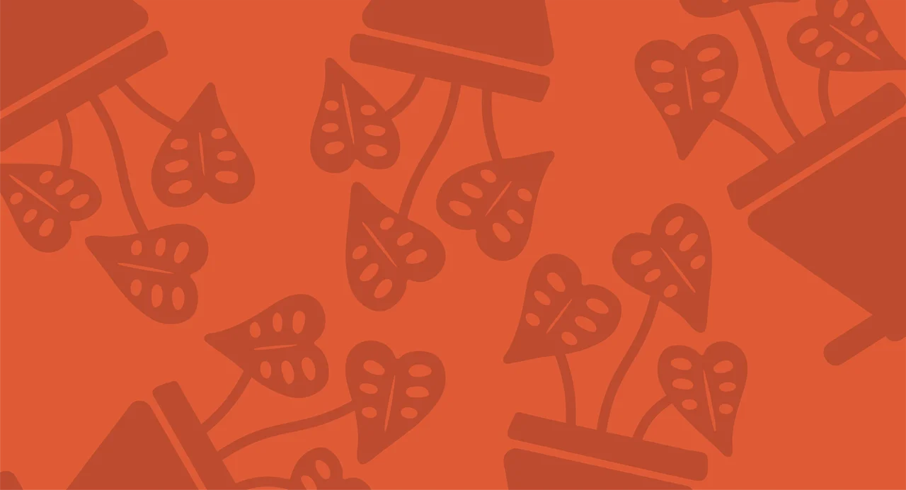 Plant Folk Coffee loyalty card on Chup
